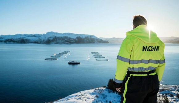 Framleiddu 502 þúsund tonn af laxi