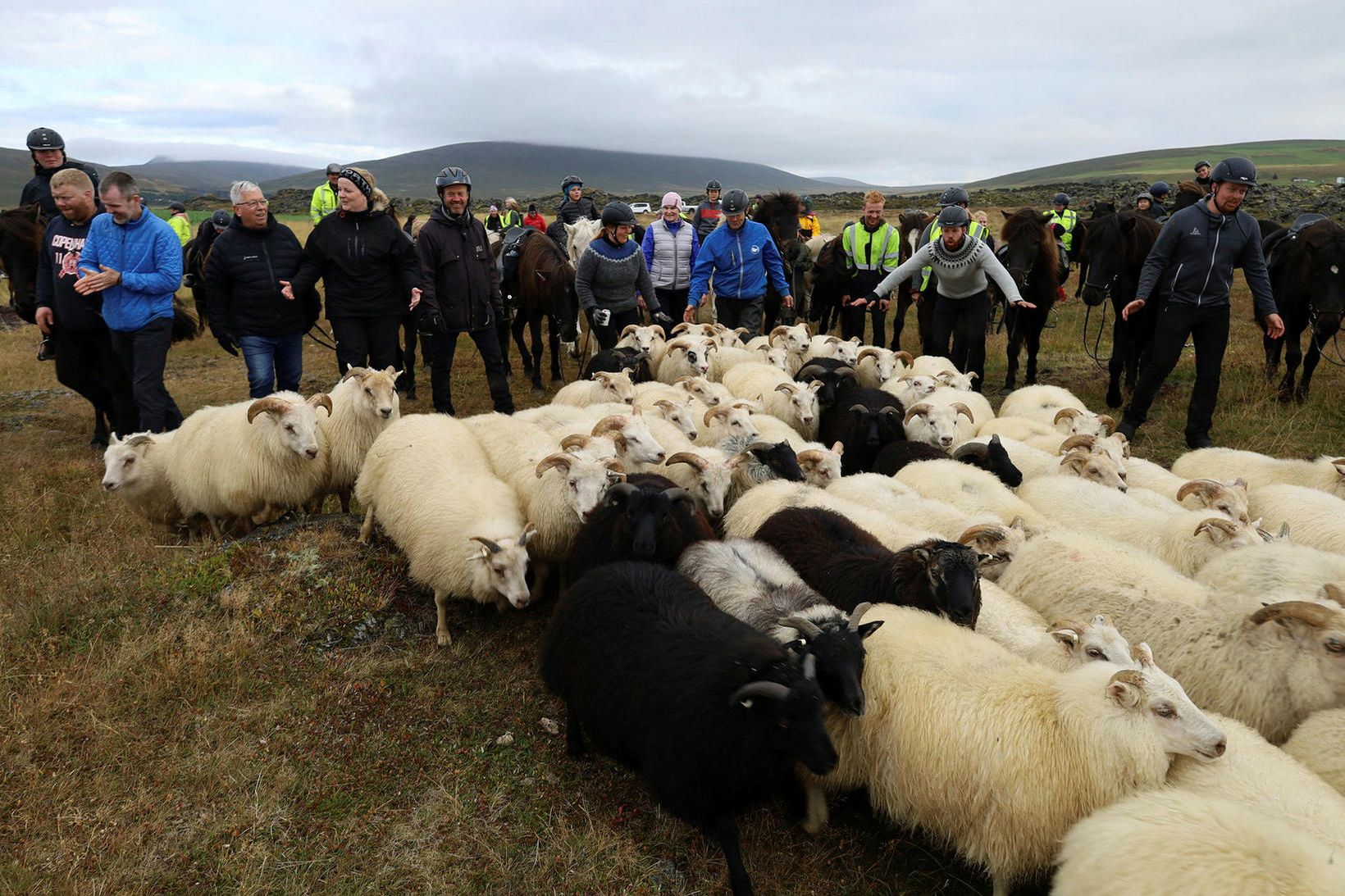 Féð er rakið í almenning og smalarnir bíða hér álengdar.