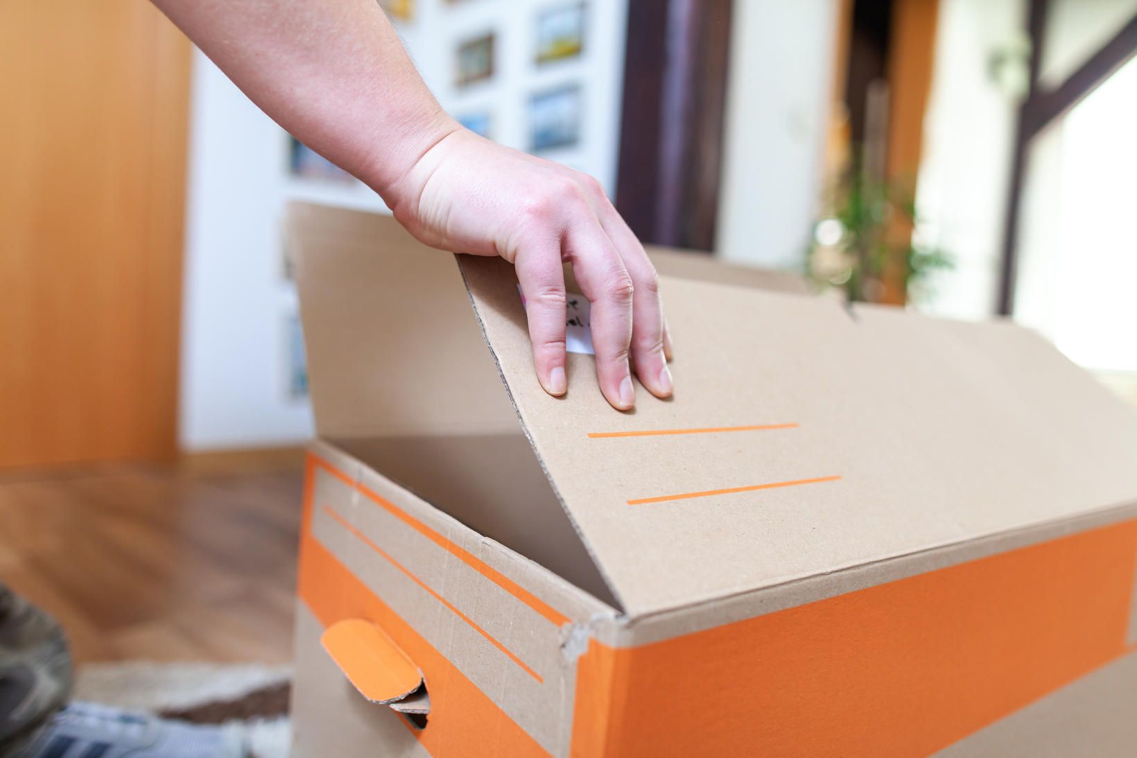 Lestarstjóri fann 20 tarantúlur