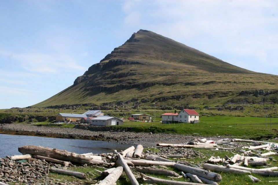 Litla-Ávík í Árnehreppi, sem margir þekkja sem veðurathugunarstöð. Reykjaneshyrna í baksýn.