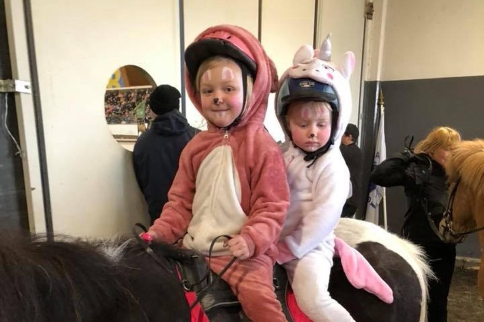 Hestasýning æskufólks endurvakin