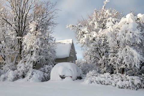 It's going to be a white christmas this year.