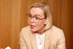 Guðrún Hafsteinsdóttir dómsmálaráðherra.