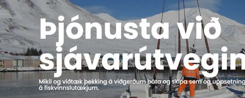 Mynd af Vélvirki ehf