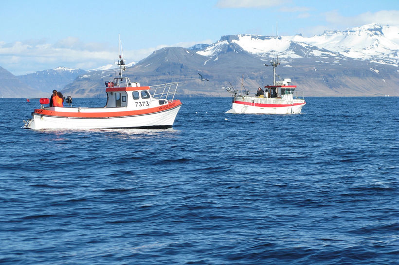 Hafa landað rúmlega níu þúsund tonnum af þorski