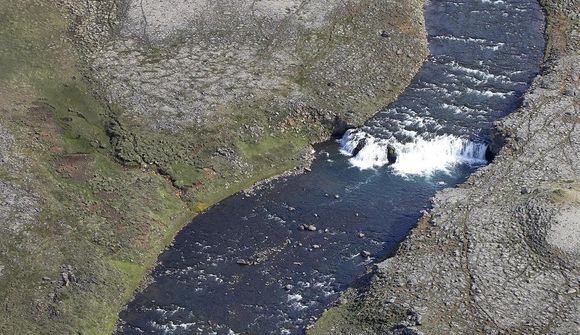 Grunur um eldislax í á á Vestfjörðum