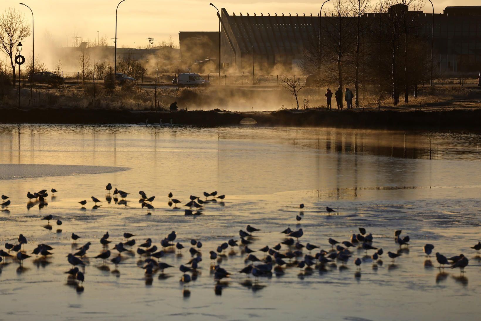 Þurrt og bjart er norðan- og vestanlands, en lítilsháttar skúrir …