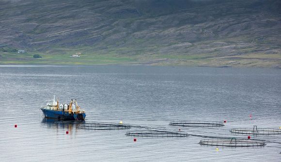 „Eftirlitskerfið er í molum“