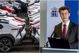 Jóhann Páll Jóhannsson, umhverfis-, orku- og loftslagsráðherra, segir að markmið styrkveitinganna hafi orðið að engu …