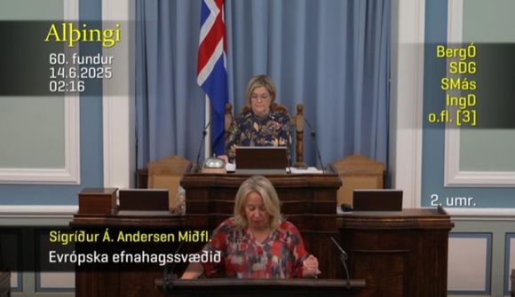 Þingfundi slitið á þriðja tímanum í nótt