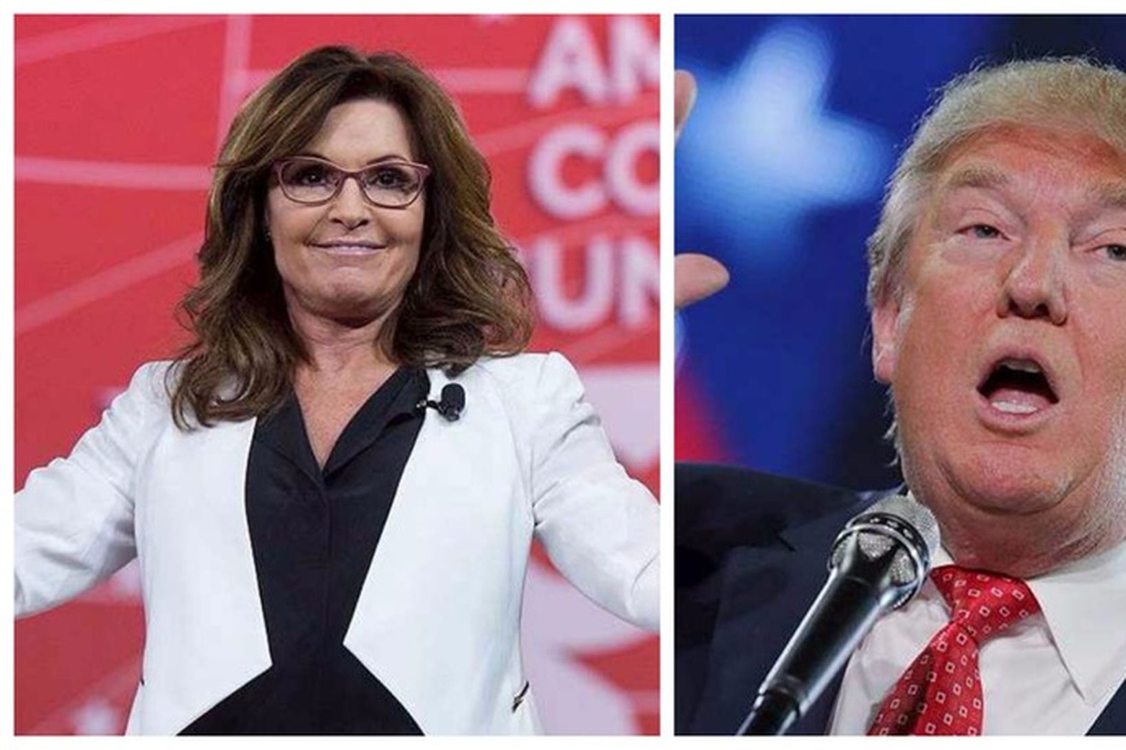 Palin og Trump.