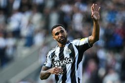 Callum Wilson.