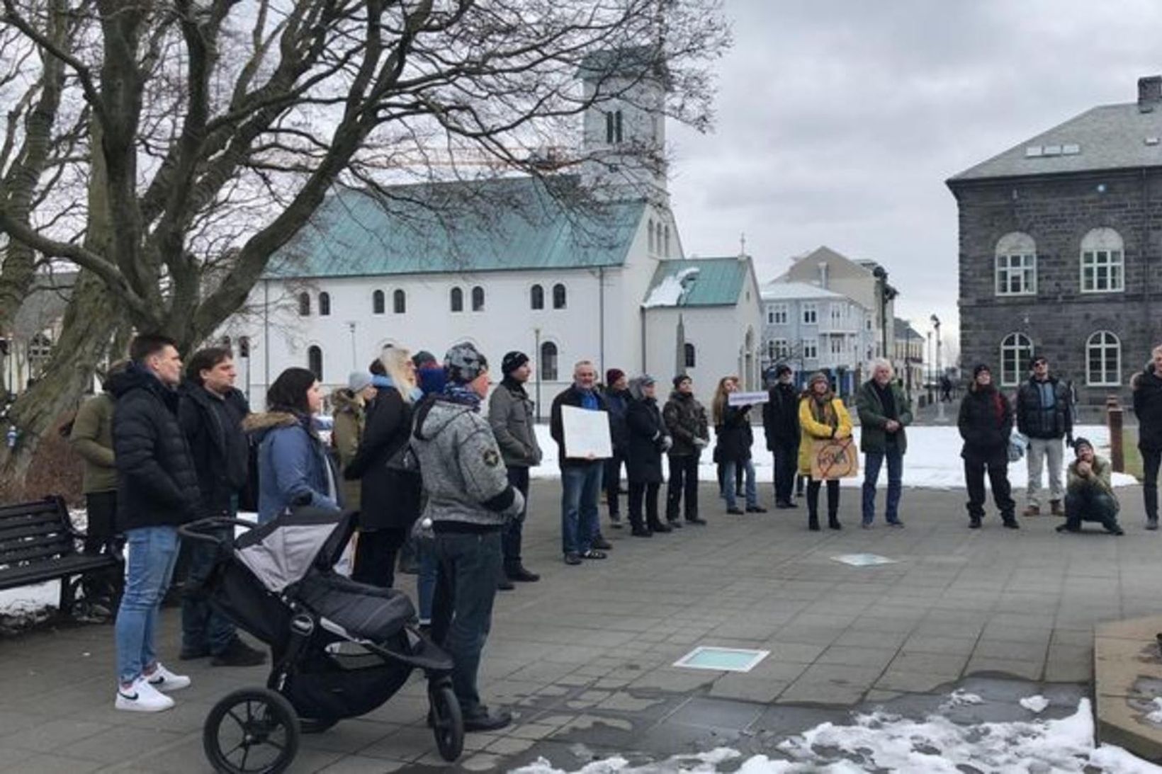 Hópur fólks er saman kominn á Austurvelli til mótmæla.