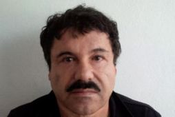 Joaquin "El Chapo" Guzman Loera.
