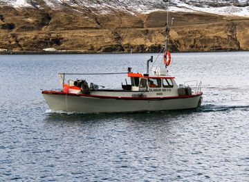 Glaður NS 115