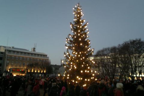 The Oslo Tree.