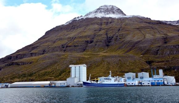 Síldarvinnslan skilar 5,3 milljarða hagnaði