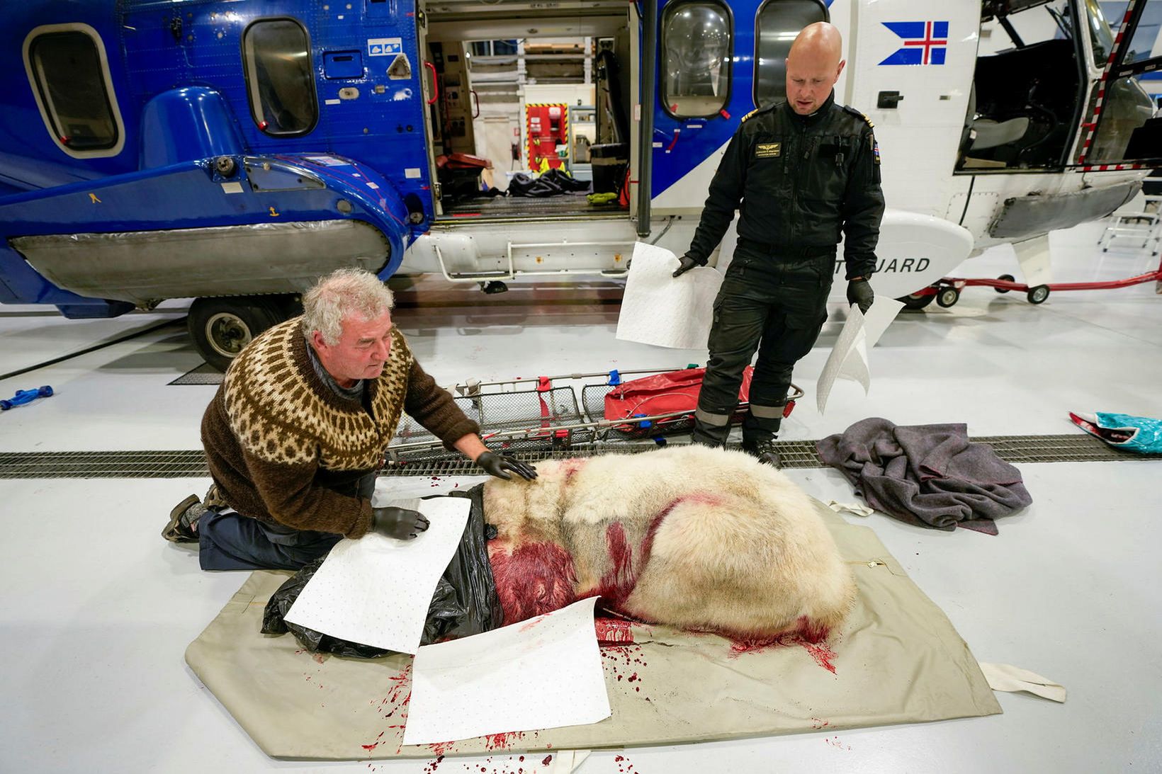 Þorvaldur Þór Björnsson hamskeri tók á móti húninum í gær.