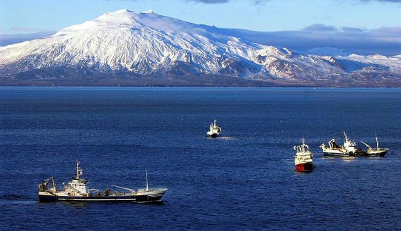 Beint: Mat á loðnustofni með umhverfiserfðaefni?