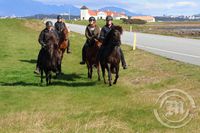 Hestar - útreiðatúr - Bessastaðir - hestamenn - Álftanes