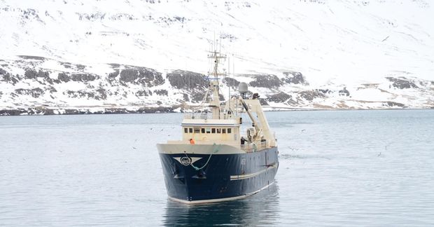 Gullver NS kom til hafnar á Seyðisfirði í gær með 107 tonna afla.