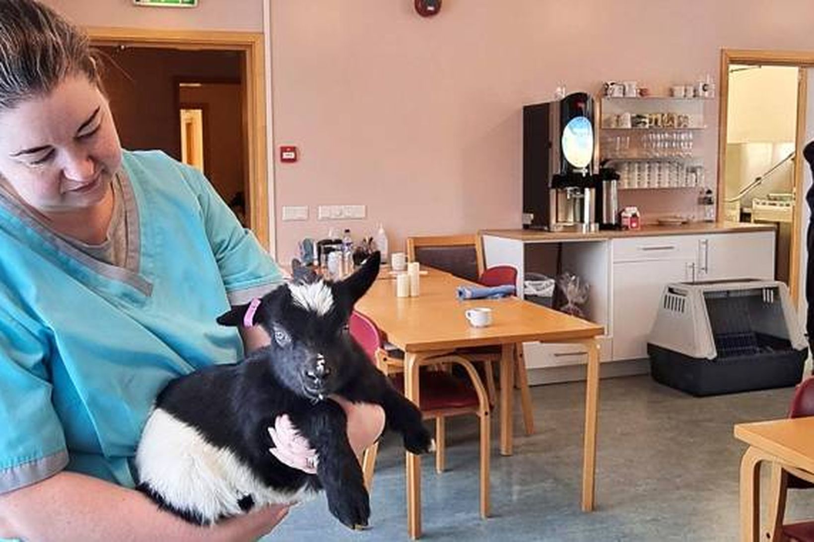 Vinsælir vorboðar á hjúkrunarheimilinu