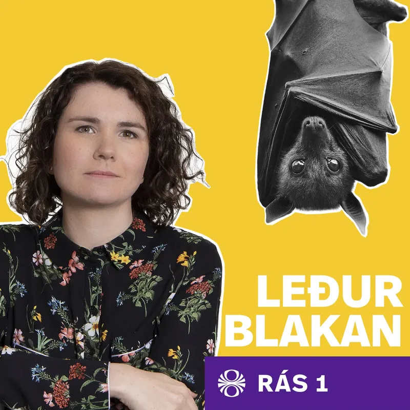 Leðurblakan