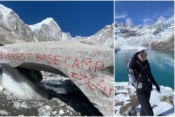 Þórdís Ólöf gekk nýverið að grunnbúðum Everest-fjallsins. Hún fór yfir áskoranir ferðarinnar og deildi góðum …