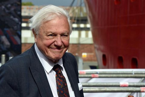 Sir David Attenborough er einn áhrifamesti fjölmiðlamaður sögunnar og hefur haft mikil áhrif á umræðu …