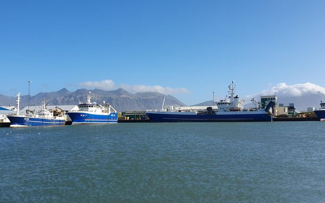 Útgerðir landsins hafa greitt langtum meira í veiðigjöld áþessu ári en í fyrra.