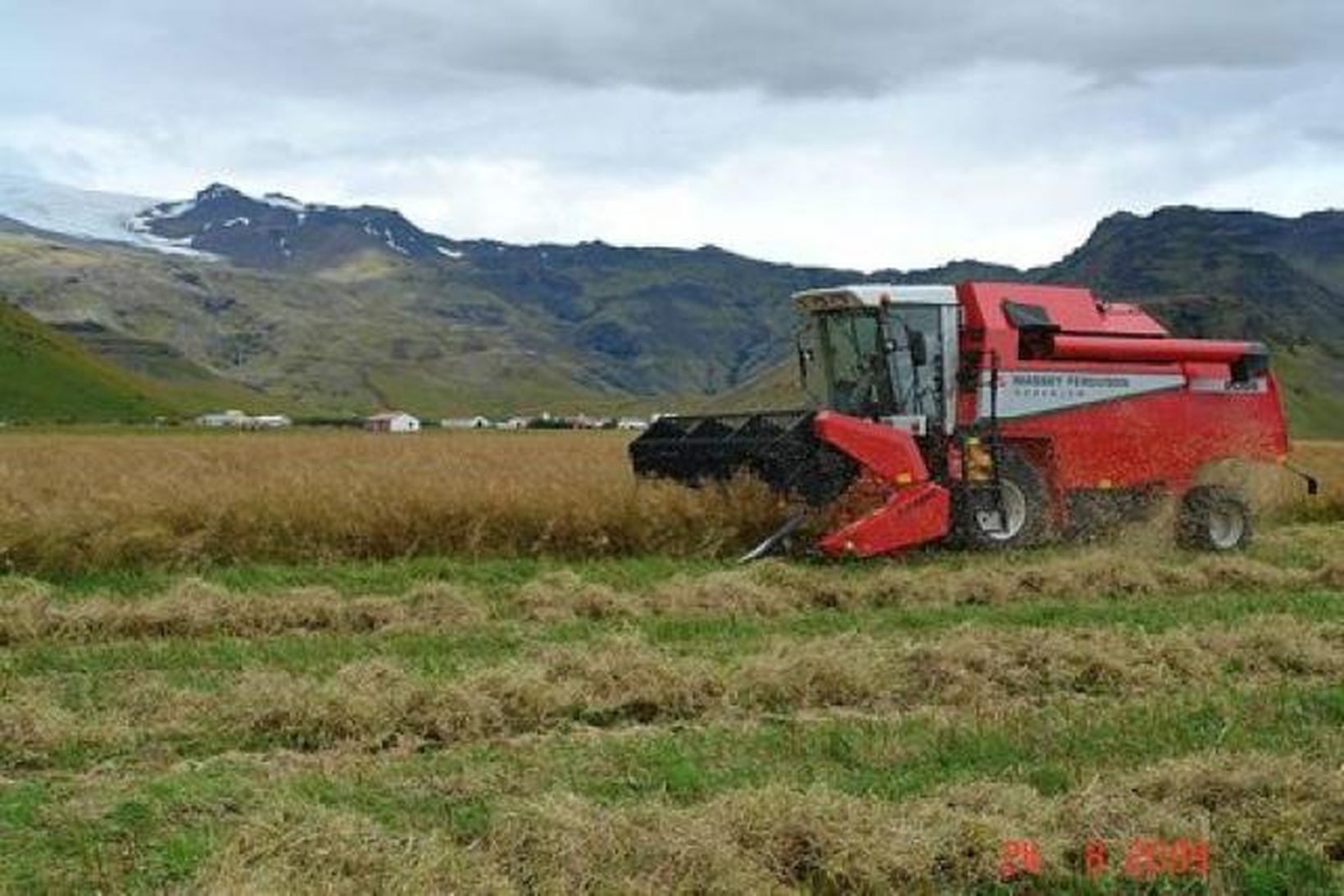 Repjuakur sleginn á Þorvaldseyri í gær.