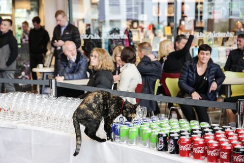 Rósalind, checking out the selection at the University cafeteria.