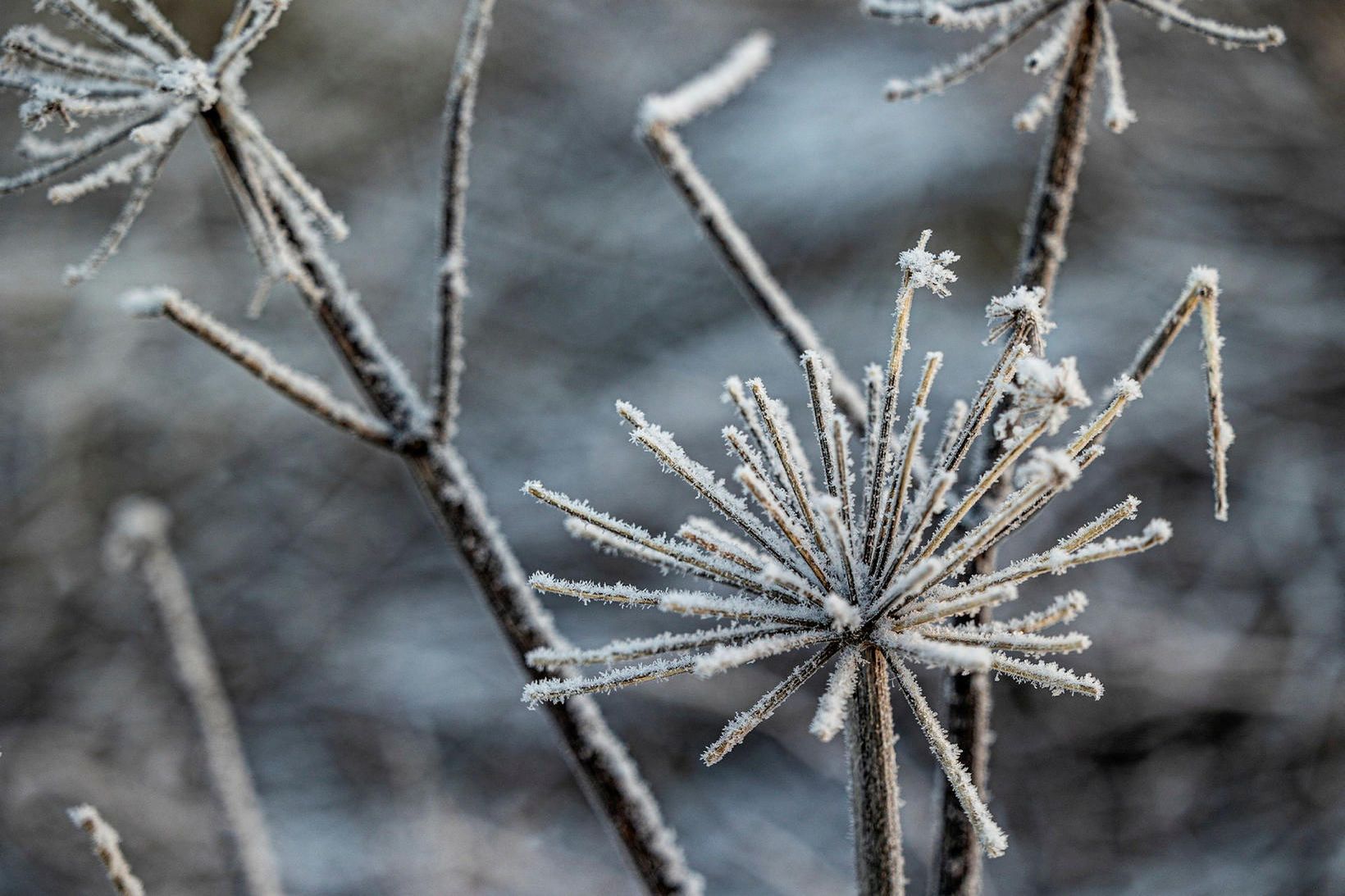 Vísbendingar um kólnandi hagkerfi