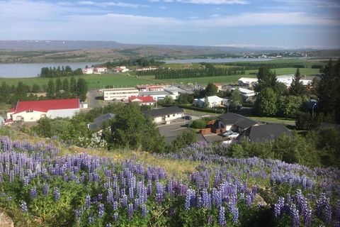 Egilsstaðir