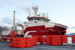 Bergur-Huginn krefst þess að ákvörðun Fiskistofu verði gerð ógild.