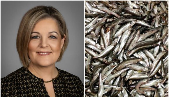 Ráðherra geti lagt álag á fyrirtækin