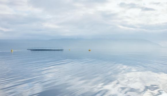 Foss í Arnarfirði fær ASC-umhverfisvottun