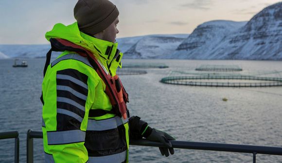 Enginn lax slapp úr sjókví Arnarlax