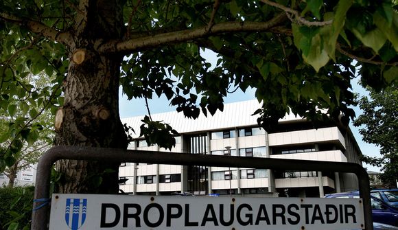 „Ótrúlegustu sérfræðingar sem dúkka upp“