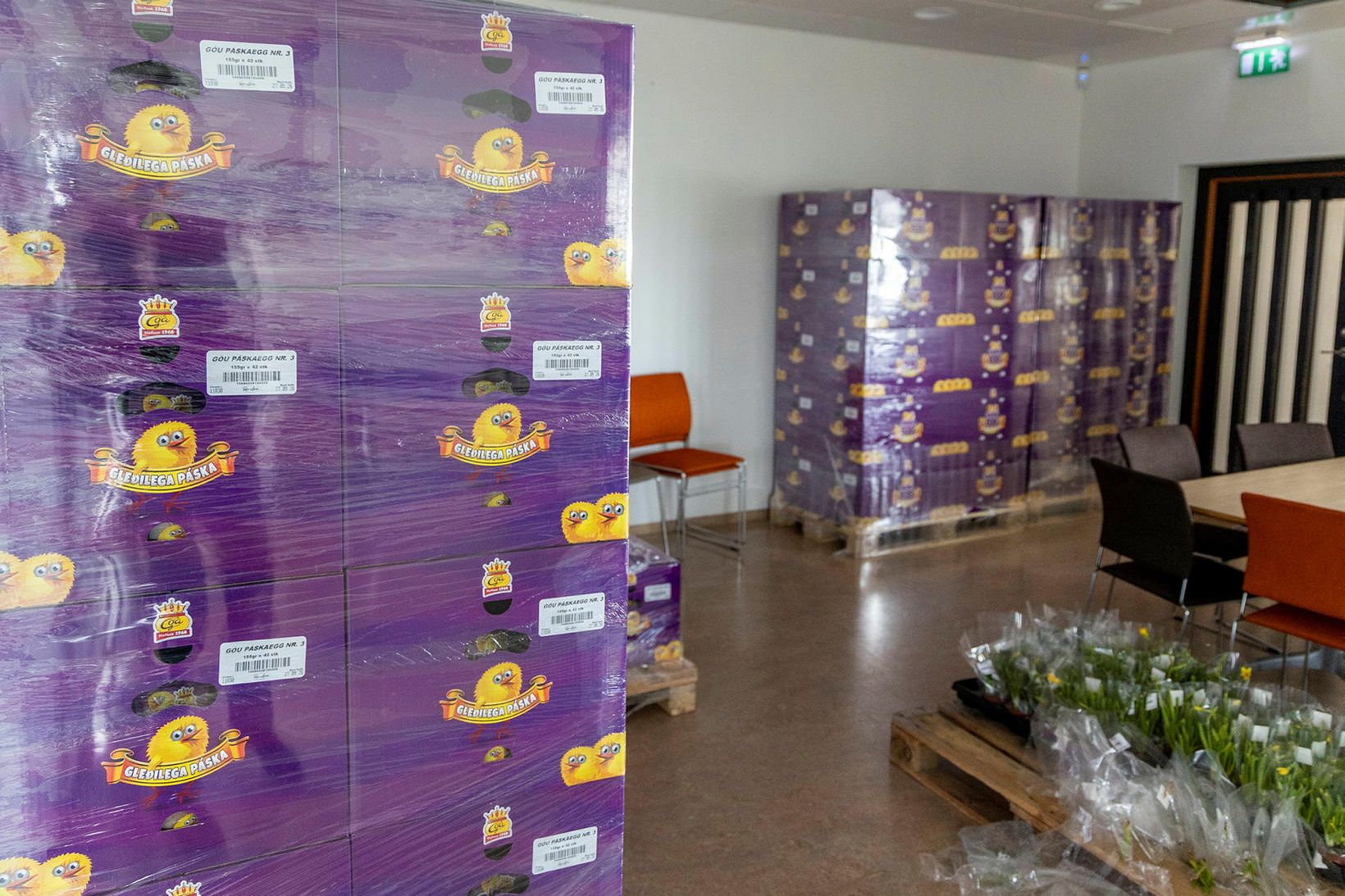 Eggin loks komin í hús