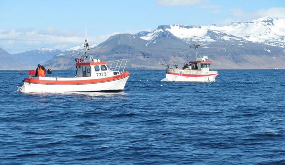 Hafa landað rúmlega níu þúsund tonnum af þorski