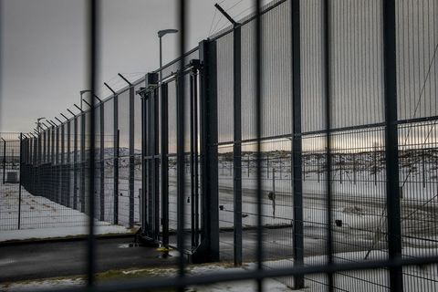 Árið 2024 afplánaði að meðaltali 31 erlendur ríkisborgari fangelsisrefsingu á hverjum degi.