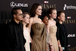 Maddox Jolie-Pitt, Vivienne Jolie-Pitt, Angelina Jolie, Knox Jolie-Pitt, Shiloh Jolie-Pitt, og Zahara Jolie-Pitt.