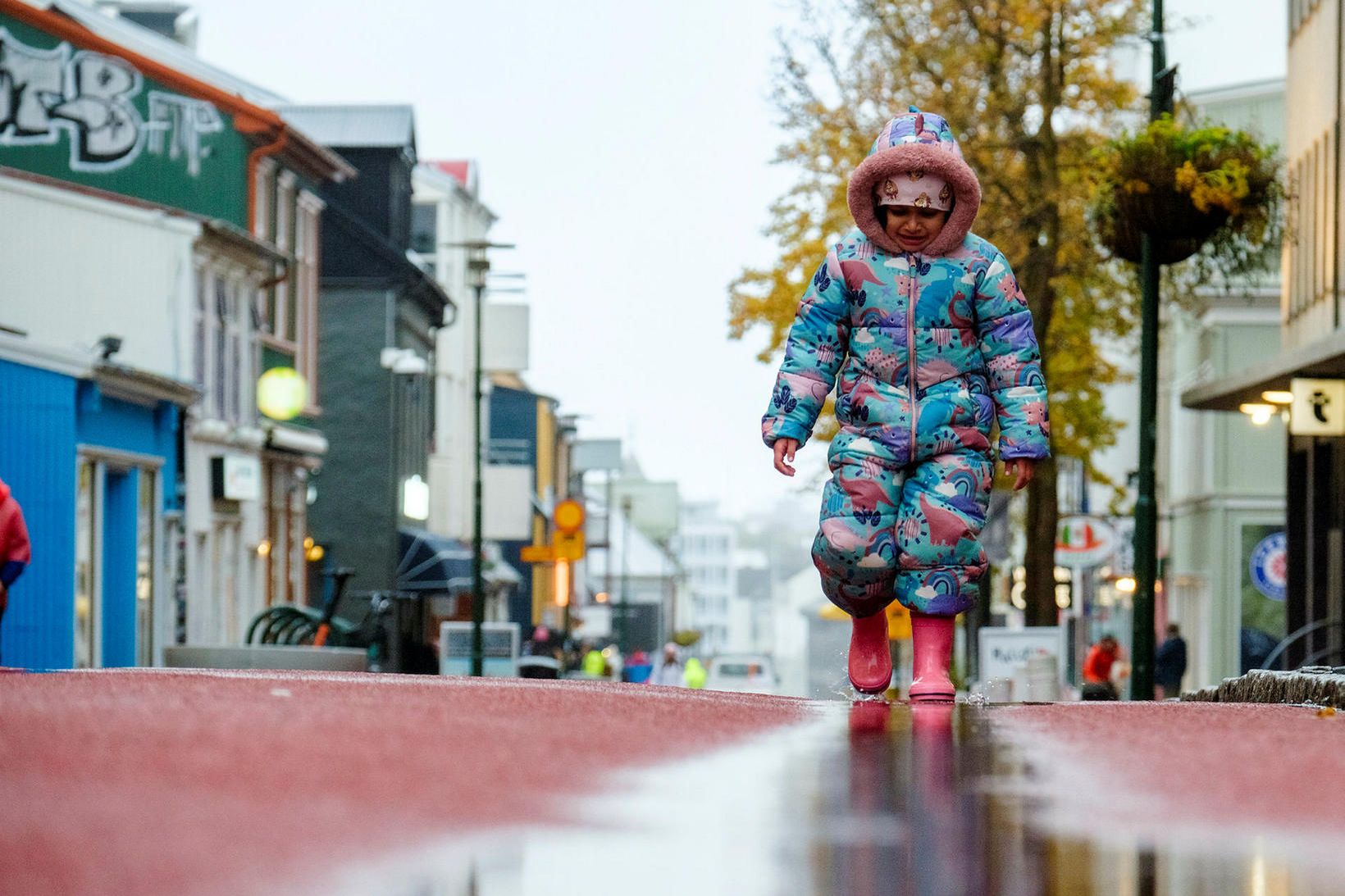 Búast má við hvössum vindstrengjum