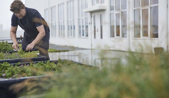 Vikumatseðill Leifs á La Primavera