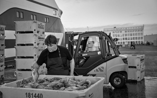 Leifur Kolbeinsson matreiðslumeistari á La Primavera býður ávallt upp á nýja fisk sem hann sækir …