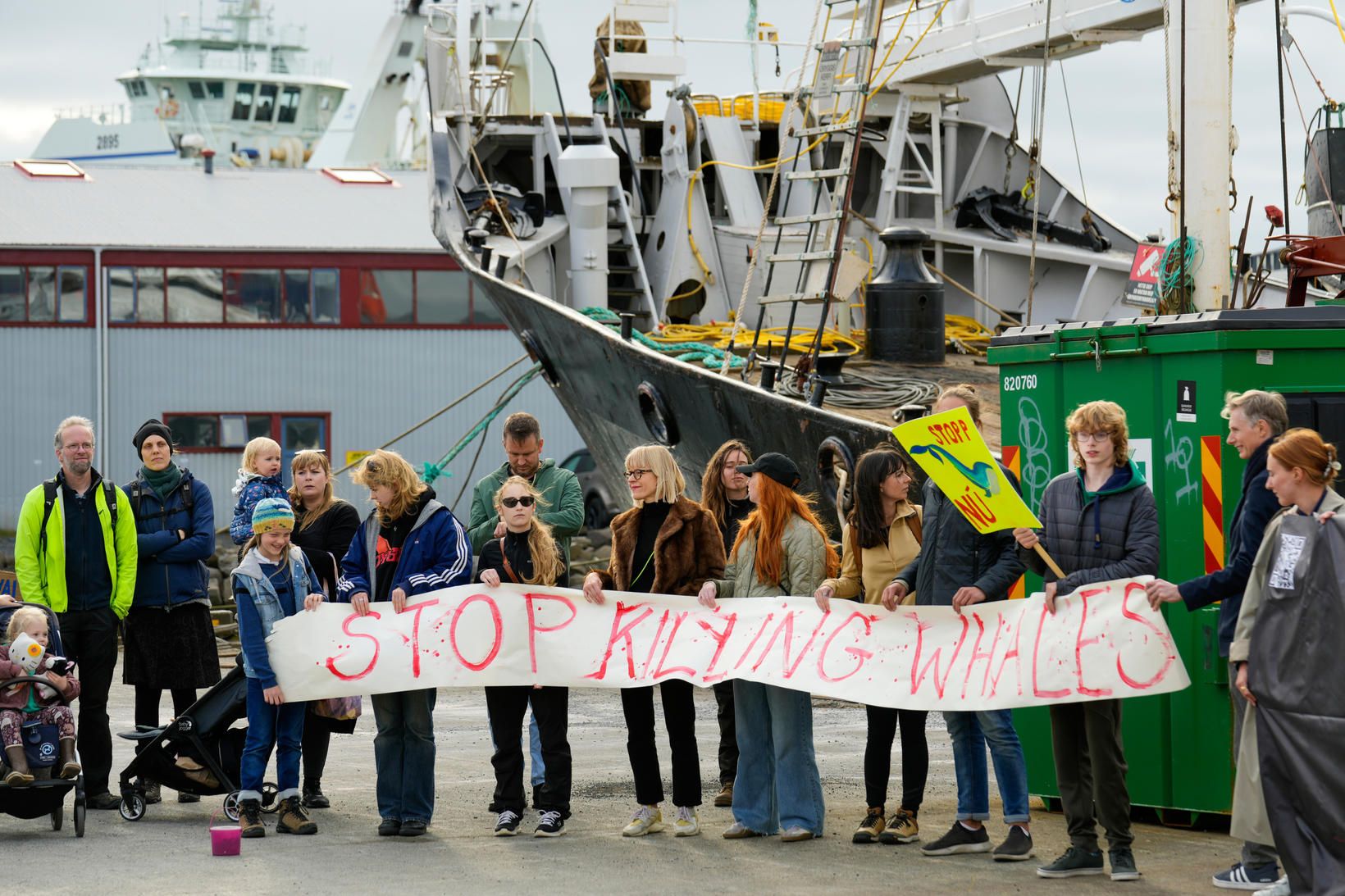 Ákvörðun Svandísar hefur fengið misgóð viðbrögð. „Hættið að drepa hvali,“ …