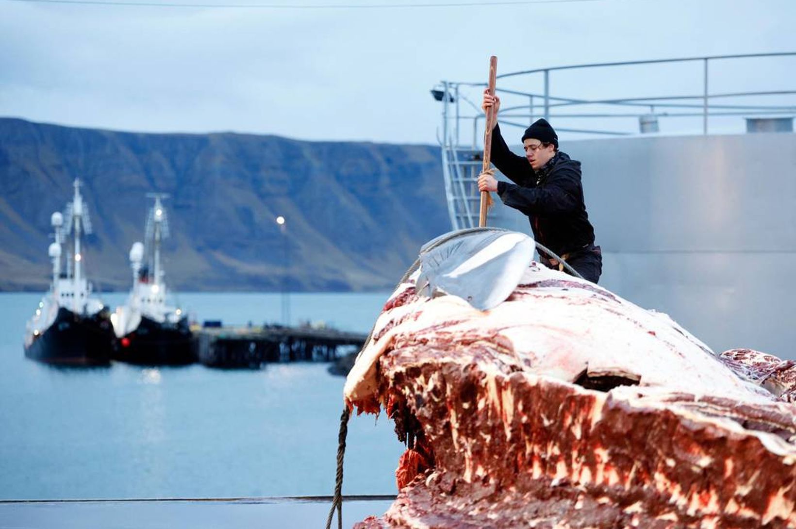 „Umsagnarferlinu var lokið“