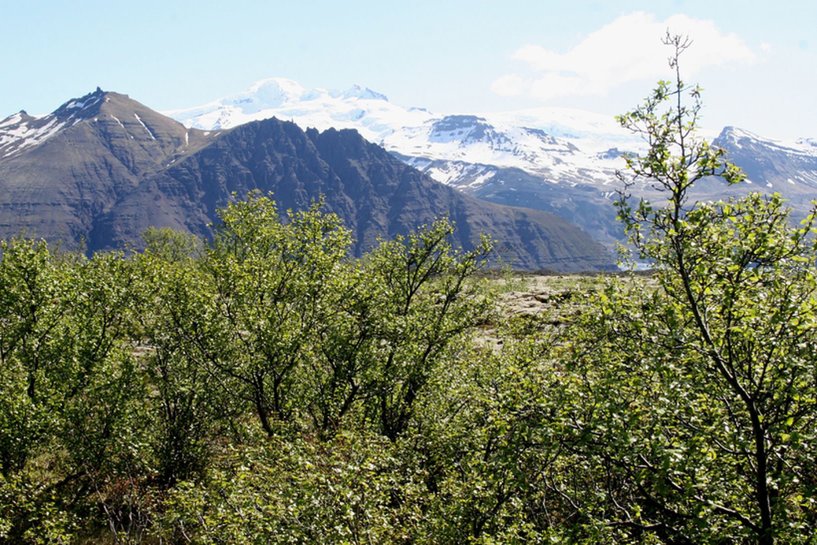 Vatnajökulsþjóðgarður þekur um 14% landsins.