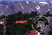 Trjágarðar á Akureyri